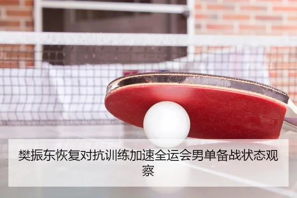 樊振东恢复对抗训练加速全运会男单备战状态观察