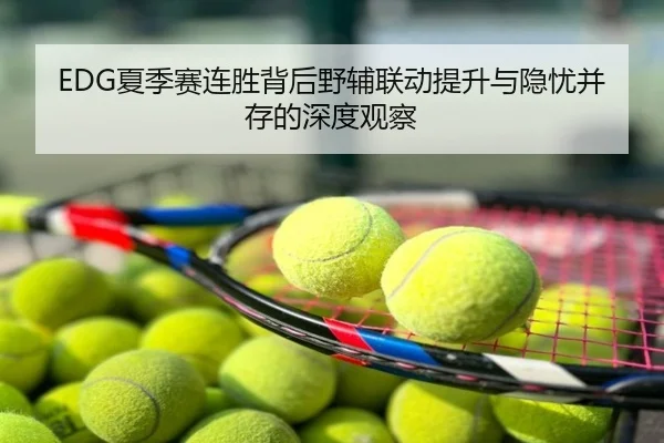 EDG夏季赛连胜背后野辅联动提升与隐忧并存的深度观察
