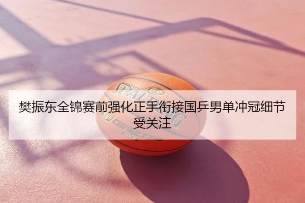樊振东全锦赛前强化正手衔接国乒男单冲冠细节受关注